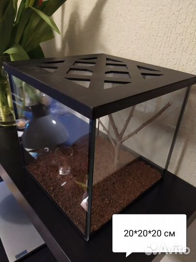 Террариум, инсектарий для пауков, богомолов