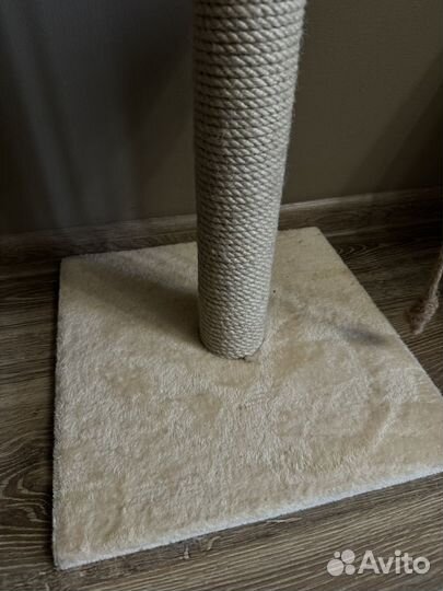 Когтеточка