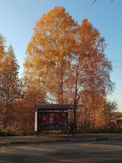Участок 7 сот. (ИЖС)