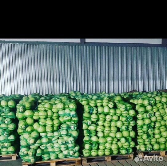 Капуста опт