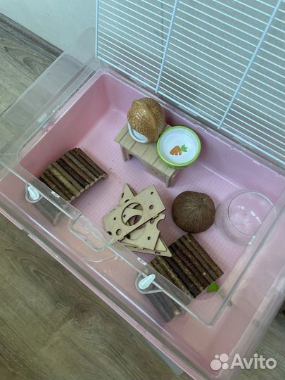 Домашние животные грызуны