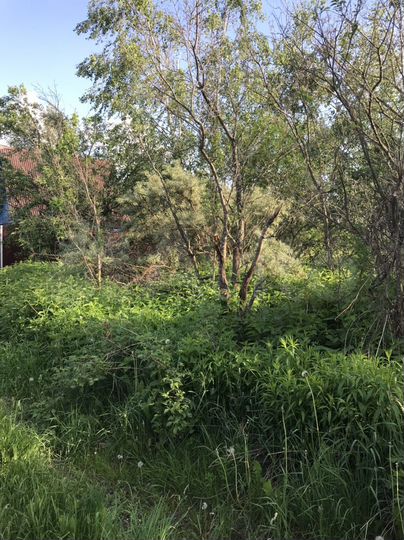 Участок 9 сот. (СНТ, ДНП)