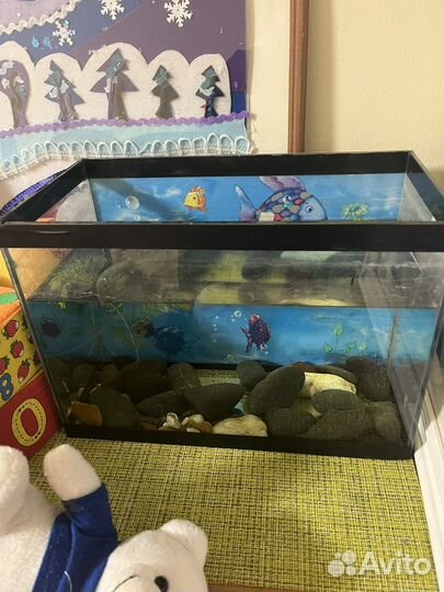 Аквариум