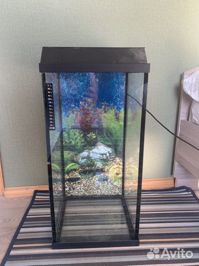 Аквариум 55л с аксессуарами