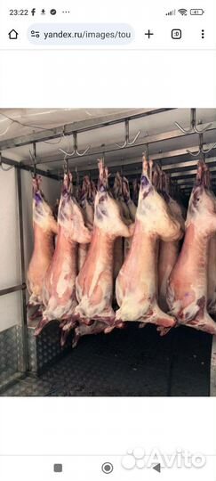 Мясо баранина