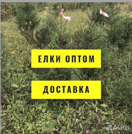 Елка Ель Новогодняя оптом