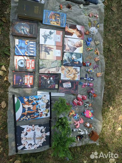 Безделушки, книги, манги