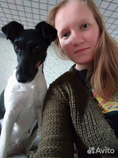 Передержка с отзывами, няня для собак, выгул