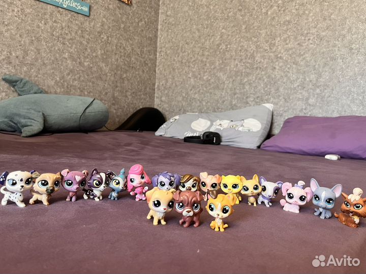 Littlest pet shop