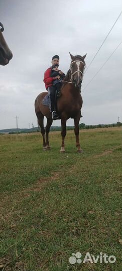 Конные прогулки в гостях у лали