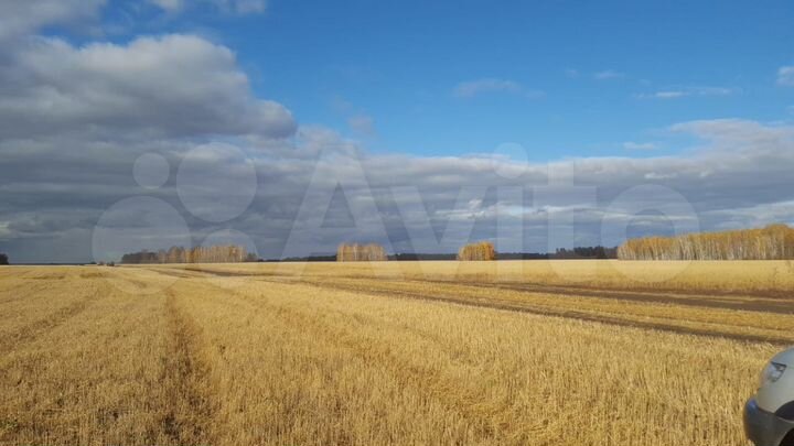 Участок 15 сот. (ИЖС)