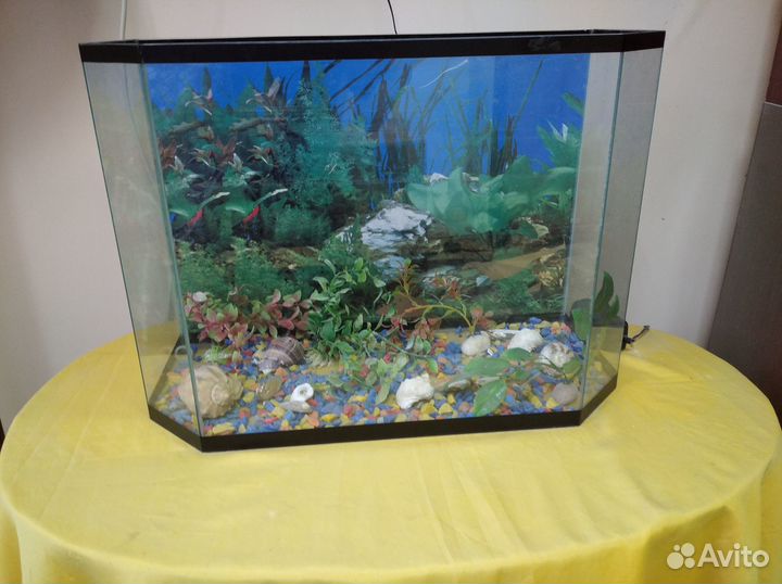 Аквариум
