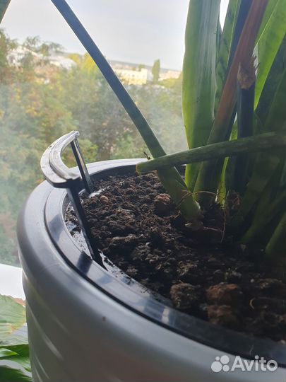 Кашпо для цветов напольное