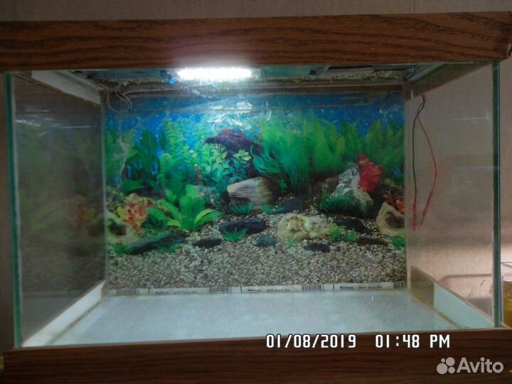 Аквариум