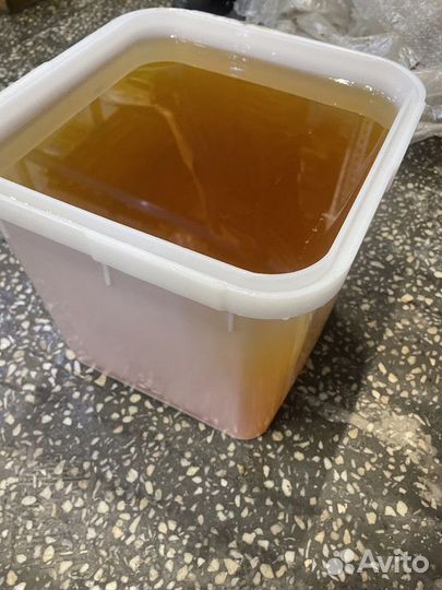 Свежий мёд цветочный опт