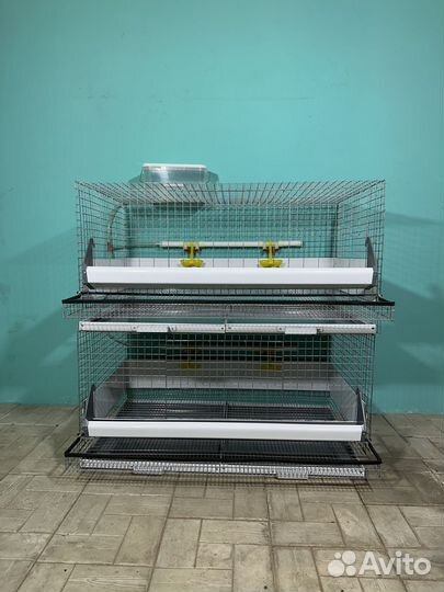 Клетки для кур несушек с яйцесборником