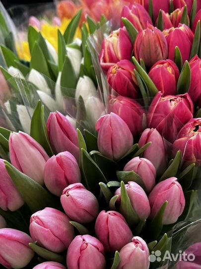 Тюльпаны ростов доставка цветов