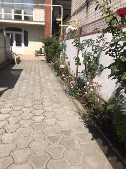 Дом 250 м² на участке 5 сот.