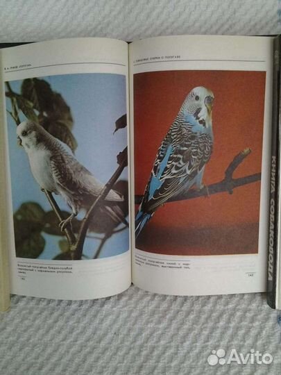 Справочные пособия, З. Фрейд