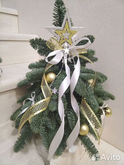 Пихта нобилис новогодняя елка