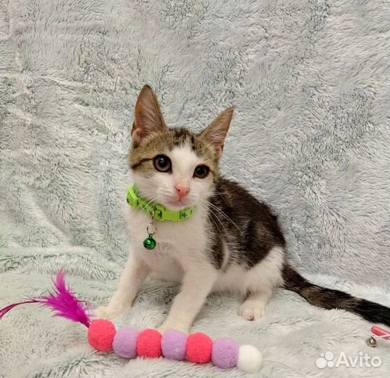 Совсем ещё крошка