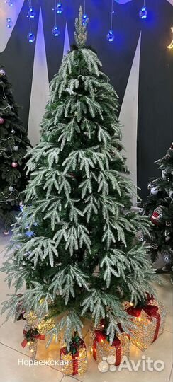 Ёлка-на полу ни одной иголки