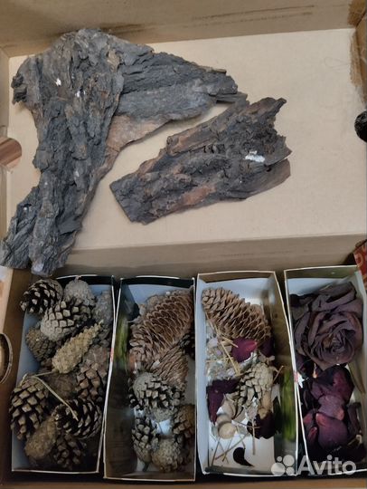 Сухоцветы (для дизайнерской бумаги и эпоксидки)