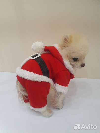 Комбинезон Санта Клауса для маленьких собак