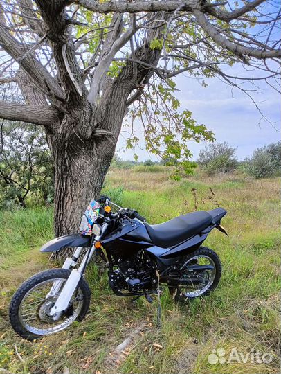 Эндуро Racer Panther 200