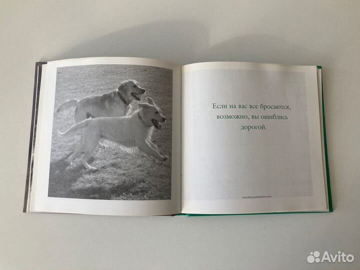 Книга Эх жизнь собачья