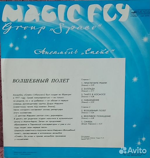 Виниловая пластинка