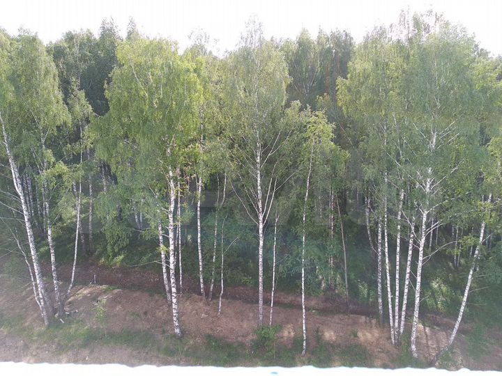 Квартира-студия, 24 м², 9/10 эт.