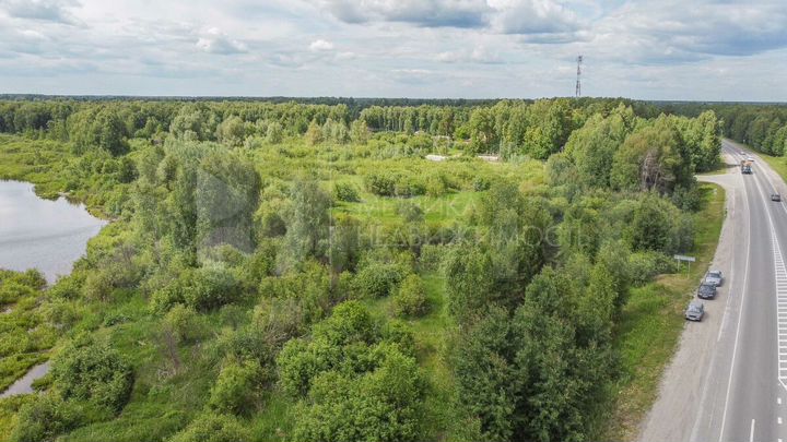 Участок 66,7 сот. (СНТ, ДНП)
