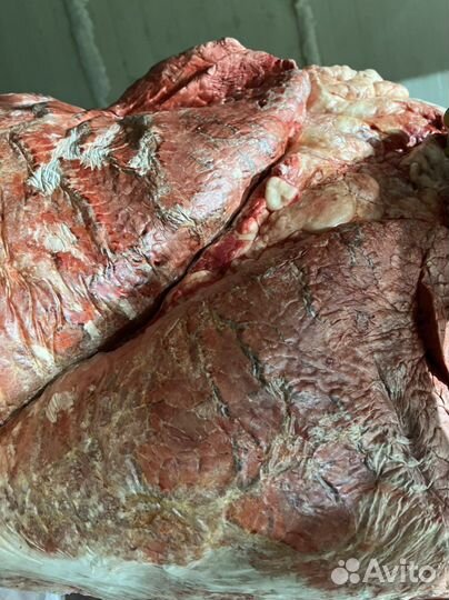 Мясо говядина для собак корм