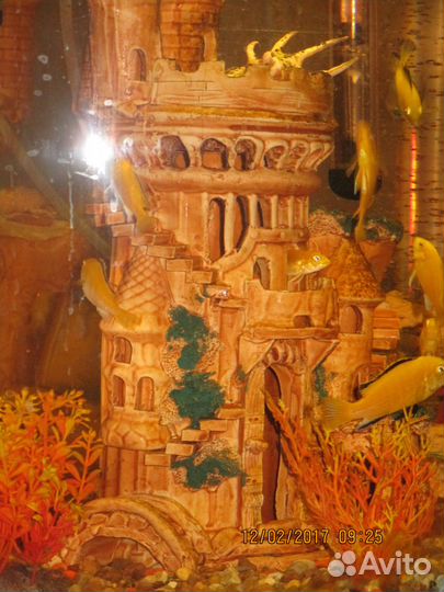 Аквариум jebo