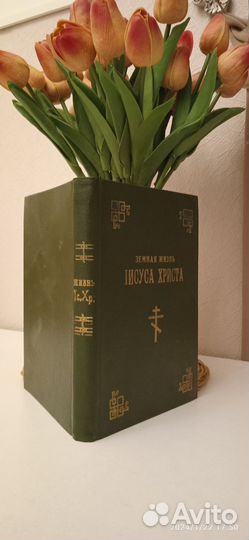 Земная жизнь Иисуса Христа (репринтное издание)