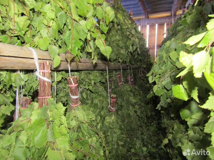 Банные веники