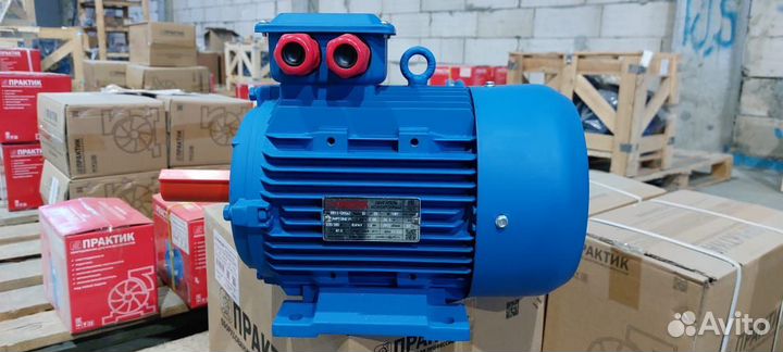 Электродвигатель аир 100L2 (5,5кВт/3000об.мин)