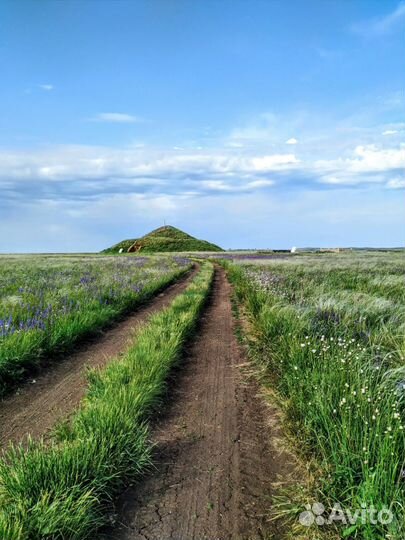 Туры в Аркаим