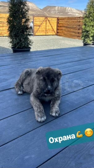 Дом 35 м² на участке 3,5 сот.