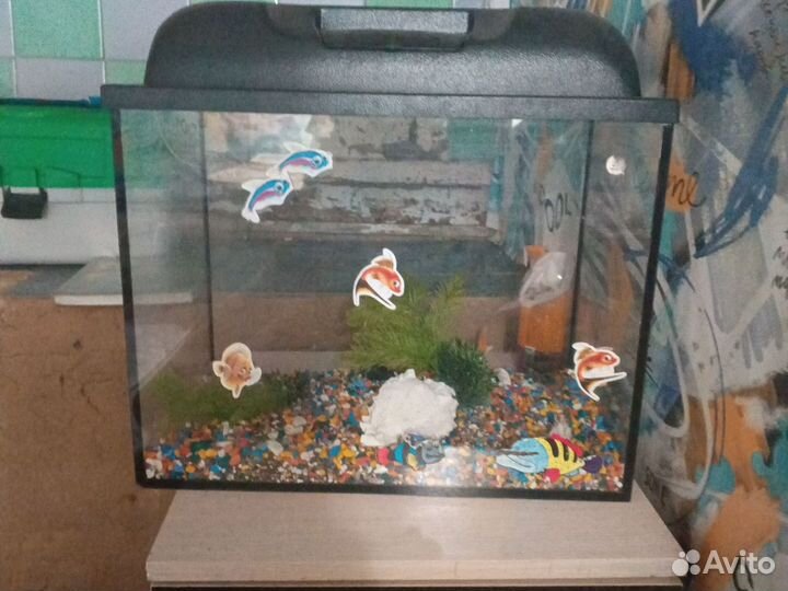 Аквариум