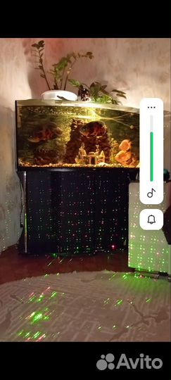 Аквариум с тумбой 400 литров