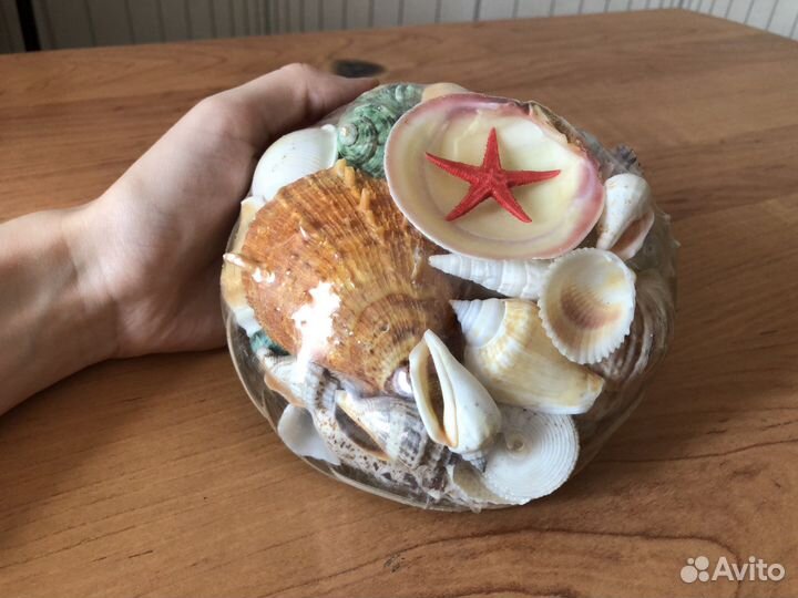 Корзиночка с ракушками новая