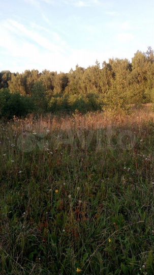 Участок 29,76 га (СНТ, ДНП)