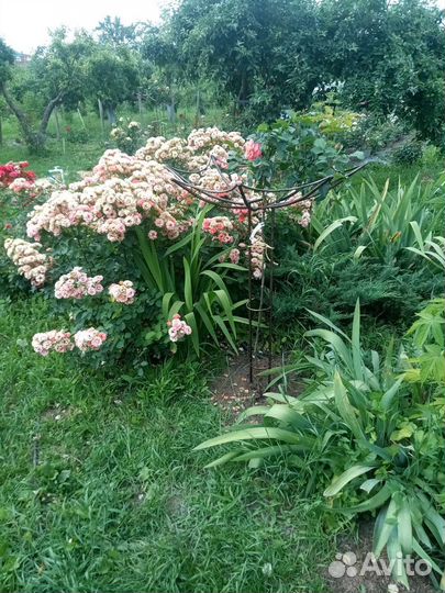 Подставки для штамбовой розы