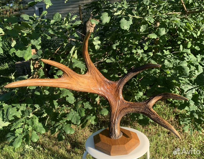 Рога лося. Вешалка