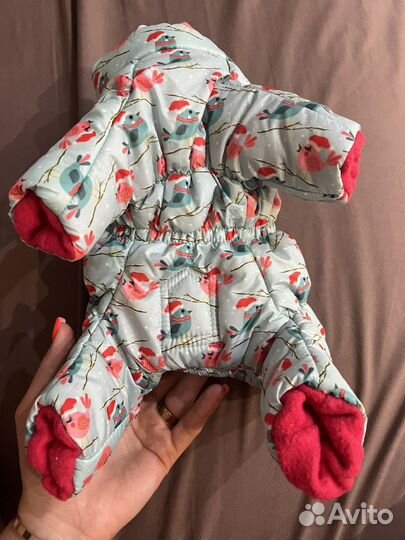 Одежда для собак