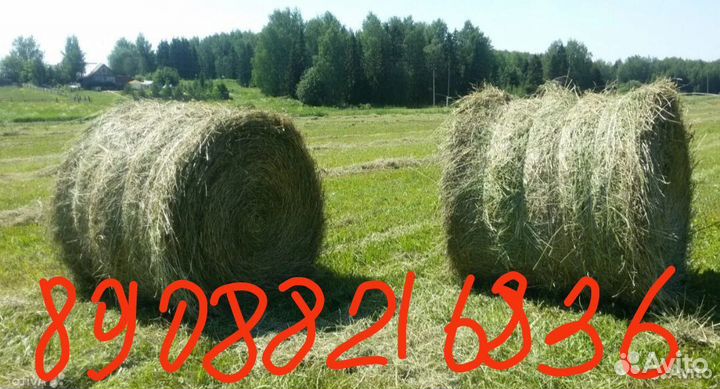 Сено, солома