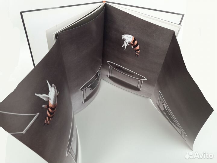 Оливия спасает цирк Ян Фалконер