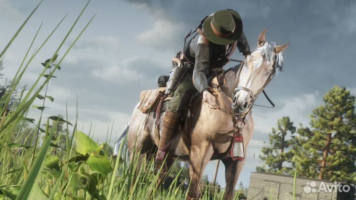 Red Dead Redemption 2 (Steam)